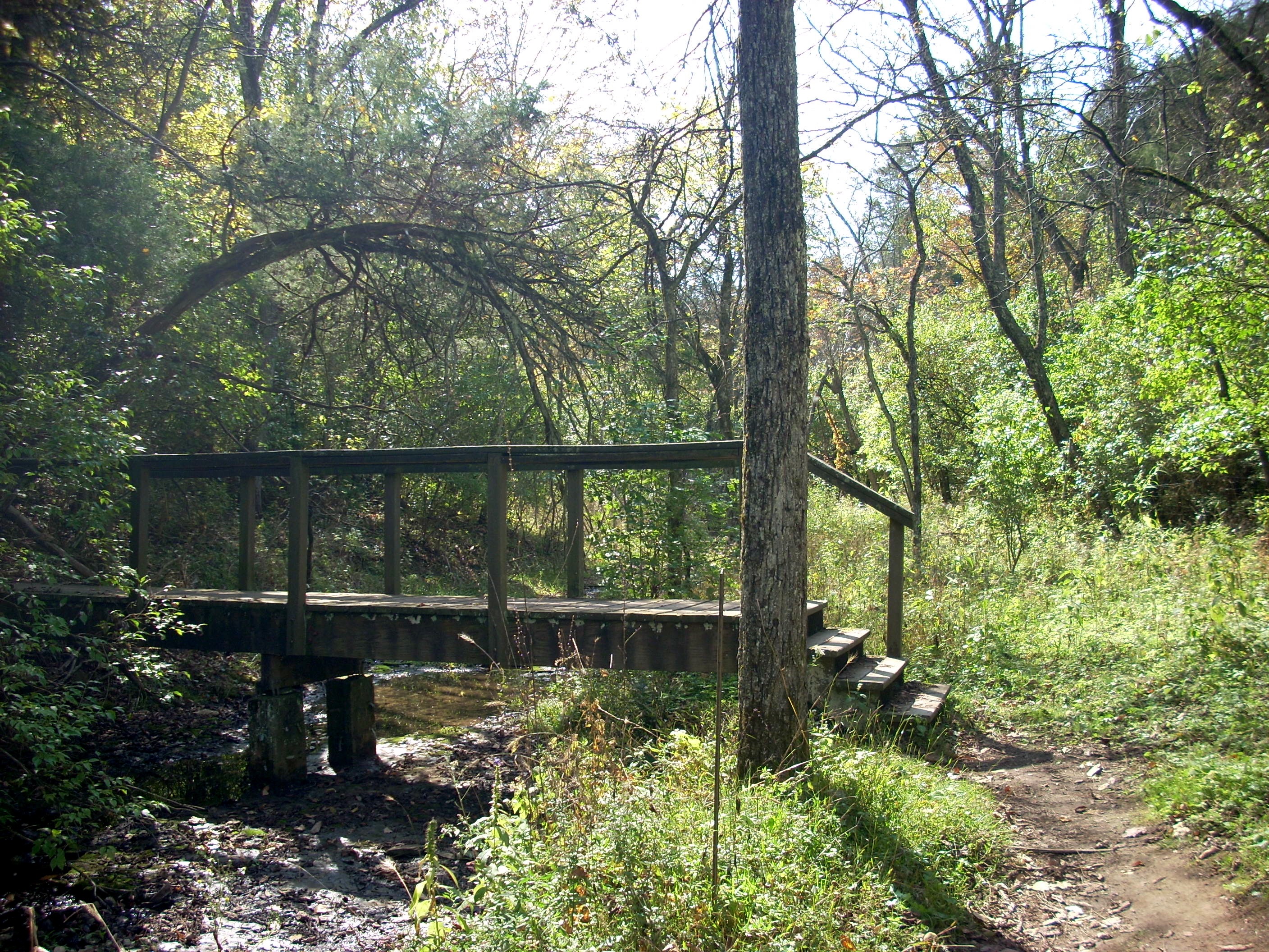 Raven Run Hiking Bridge